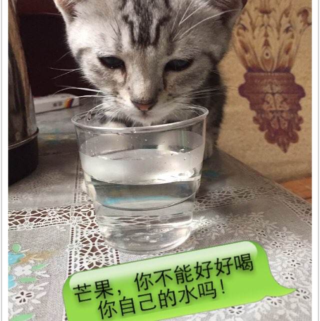 买格鲁吉亚身份证