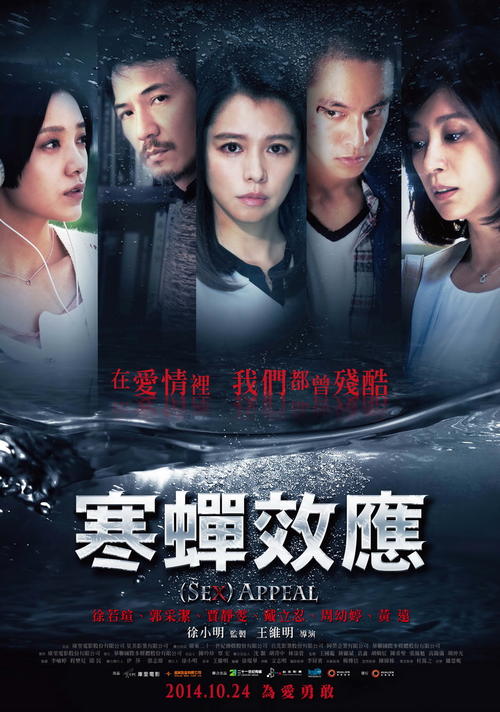 临沧做证件